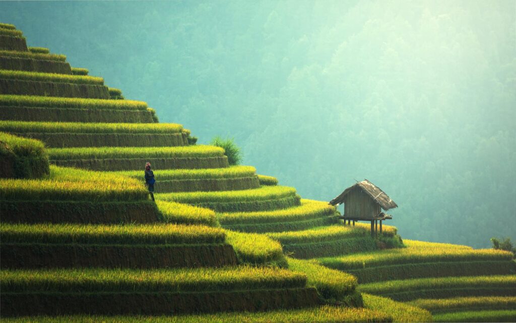 Majestic hills in Malaysia