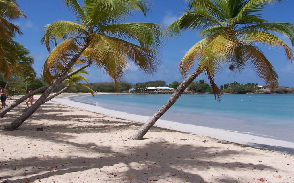 Martinique beach