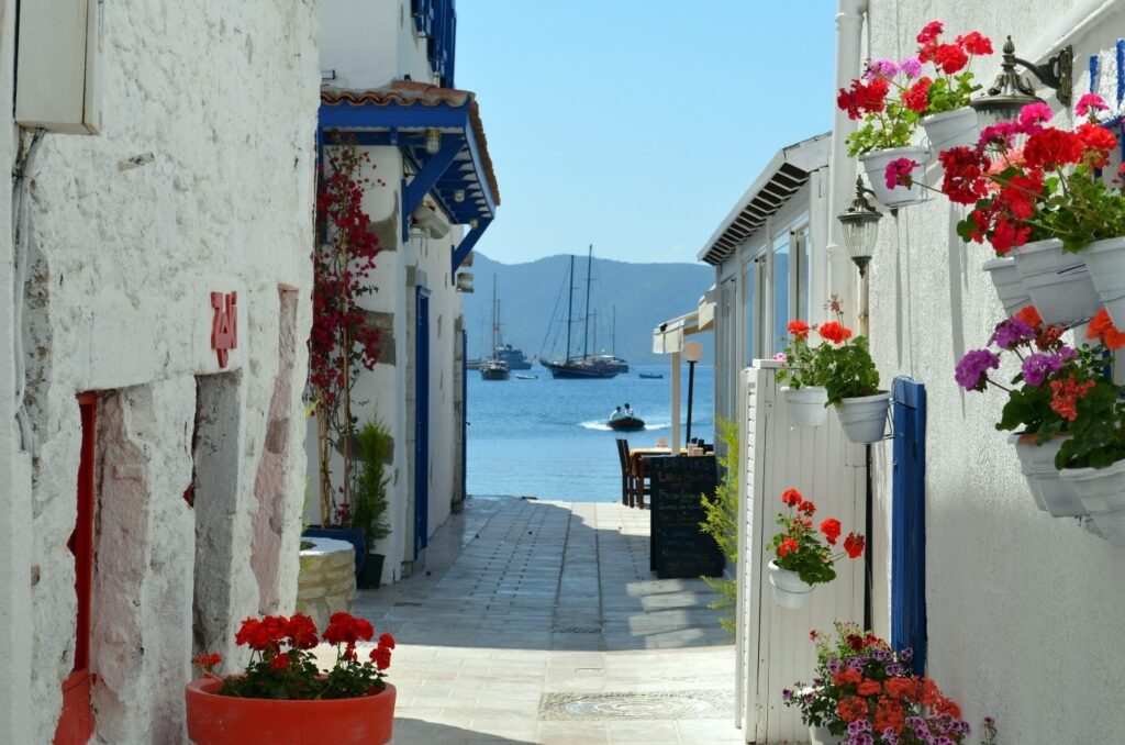 Pretty pathway leading to the sea