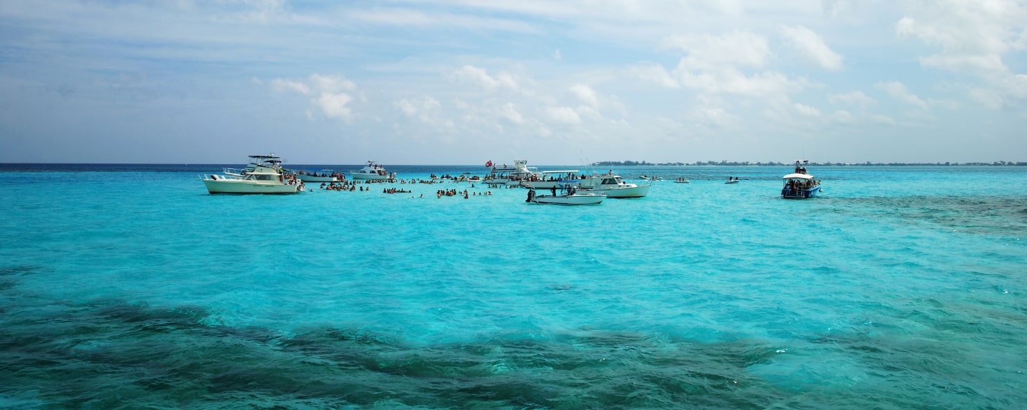 Stingray City, Cayman Islands