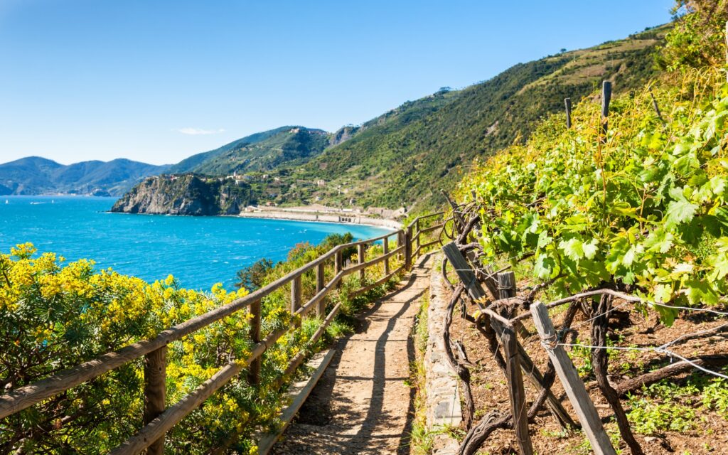 A dusty walkway along the coast overlooking crystal blue water