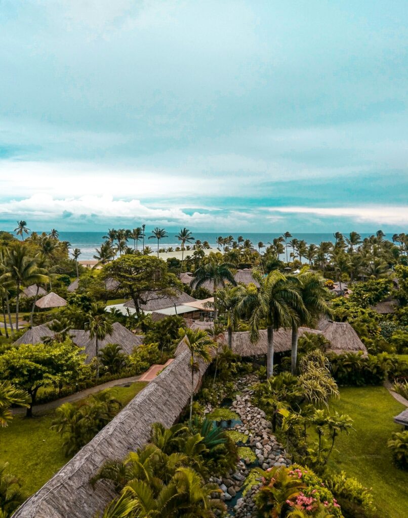 Overlooking trees in the foreground of the ocean