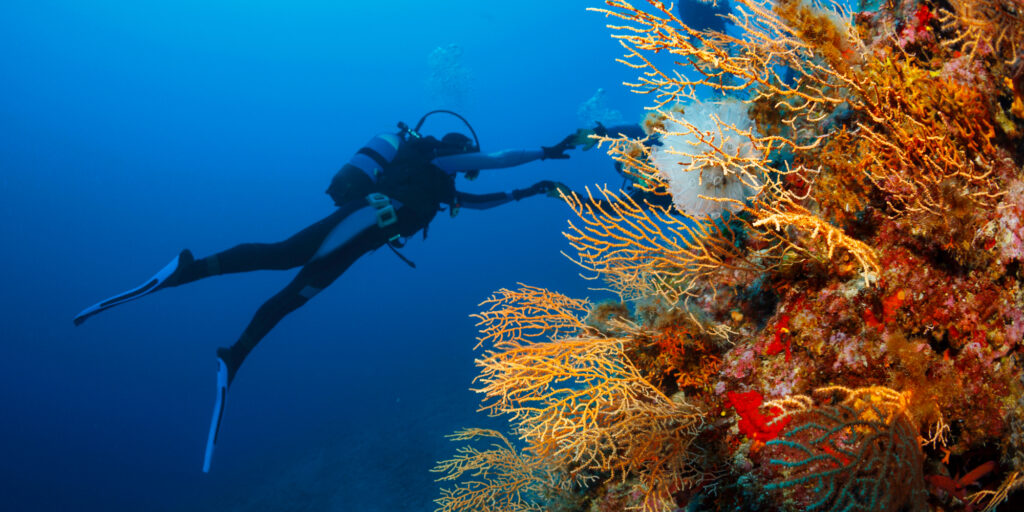 Scuba Diver in the Mediterranean Sea